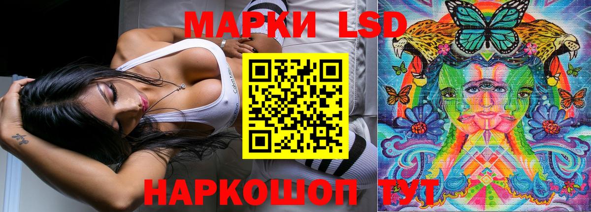 купить наркотик  Наркотические марки 1,5мг  Вход с VPN  Приморско-Ахтарск  Наркотические марки 1,5мг 