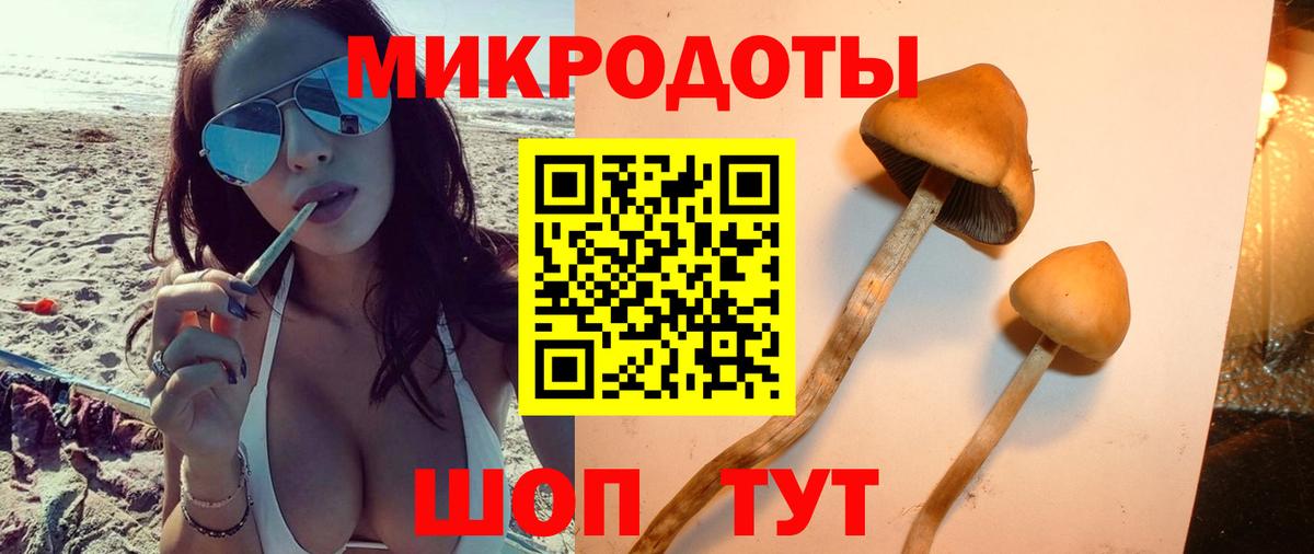 Приморско-Ахтарск  Псилоцибиновые грибы MAGIC MUSHROOMS  Вход с VPN  Галлюциногенные грибы прущие грибы 